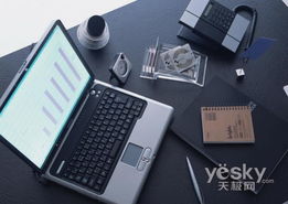 壓力與機遇同在 2008年國內臺式電腦市場綜述